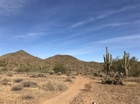 Hiking in the Sonoran Desert Preserve in Phoenix, Arizona