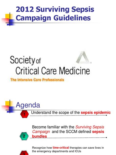 2012 Surviving Sepsis Campaign Guidelines SYED | Sepsis | Shock (Circulatory)