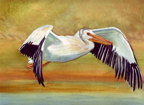 Pelican Watercolor Painting