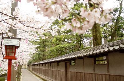 HOT SPRINGS & CHERRY BLOSSOMS - Visit Kinosaki