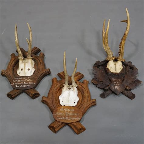 A set of six antique Black Forest hunting trophies from Germany ...