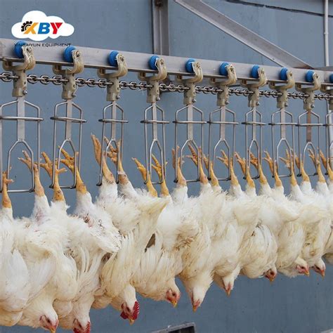 Full Sets of Chicken Hanger Slaughtering Line for Poultry ...