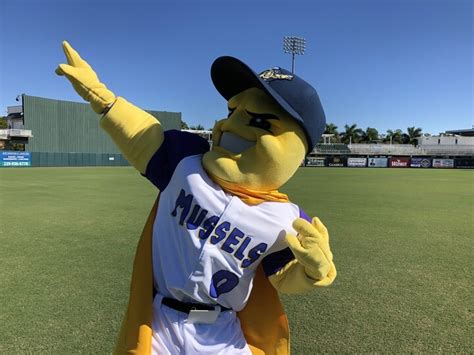 Fort Myers Miracle unveil new mollusk-inspired team name