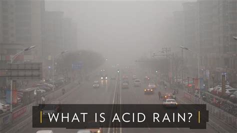 Acid Rain