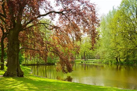 Best parks in Amsterdam: Amsterdam has many parks and green sides