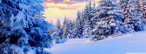 Snow Dual Screen Wallpapers - Top Free Snow Dual Screen Backgrounds - WallpaperAccess