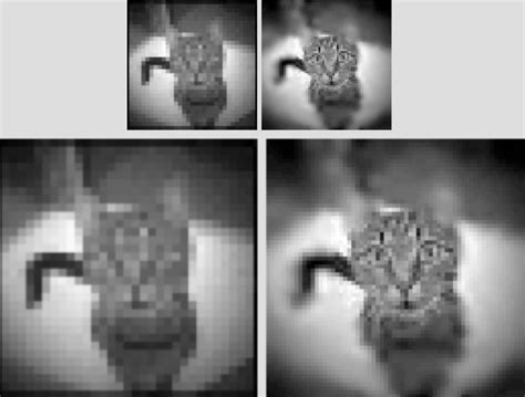 Single-Pixel Camera Mimics Human Eye - EPS News