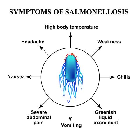 Salmonella Labelled Diagram