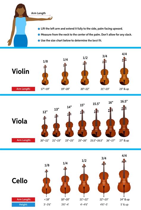 The Parent's Guide to Orchestral String Instruments