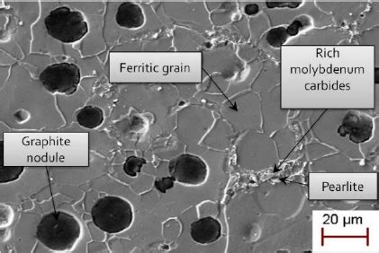 Typical initial microstructure of the studied ductile cast iron (DCI)... | Download Scientific ...