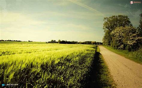 Summer Country Scenes Wallpaper - WallpaperSafari