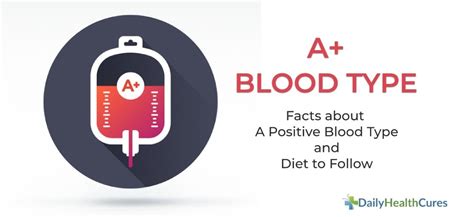 A Positive Blood Type: 9 Facts to Know and Diet Tips | Daily Health Cures