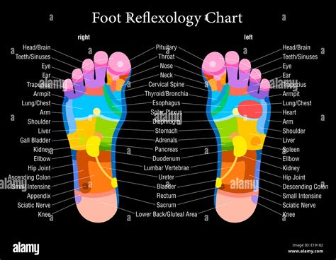 Feet reflexology chart hi-res stock photography and images - Alamy