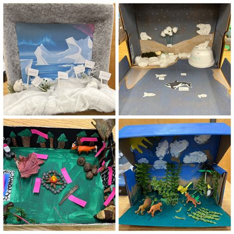 Habitat Dioramas - St. Mary's French Immersion