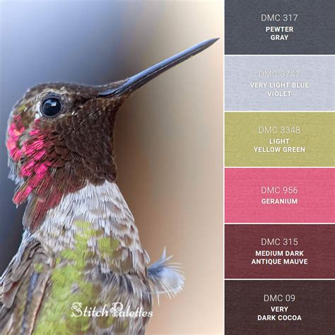 Proud Hummingbird - Embroidery Color Palette (With Thread Codes)