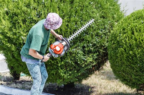 Best Petrol Hedge Trimmer Reviews UK 2020 - Top 9 Comparison