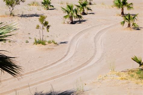 Tire Tracks In Sand Free Stock Photo - Public Domain Pictures