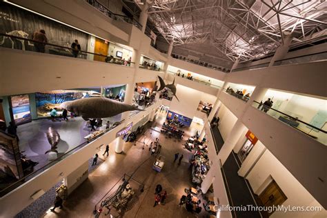 theNat: San Diego Natural History Museum in Balboa Park - California Through My Lens