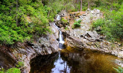 The 7 Best Walks in Cairngorms National Park | Wanderlust