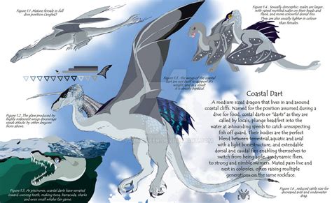 Dragon species concept. by salikadeer on DeviantArt