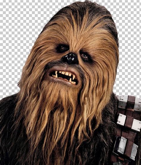 Chewbacca Han Solo Star Wars Wookiee Actor PNG, Clipart, Actor ...