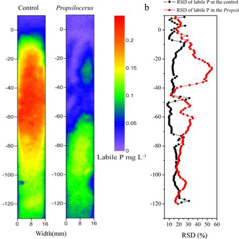 Fractionation of P in the upper 6 cm of sediments, with and without... | Download Scientific Diagram