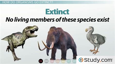 Threatened vs. Endangered Species | Differences & Levels - Video & Lesson Transcript | Study.com