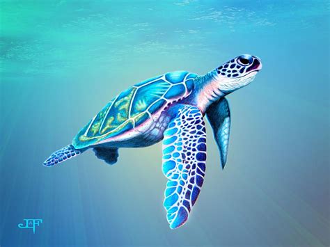 Baby Sea Turtles, Cute Turtles, Ocean Creatures, Cute Creatures, Sea ...