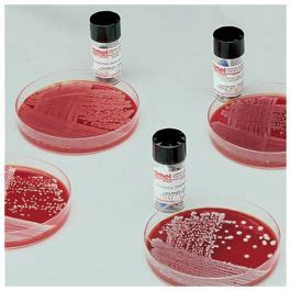 Thermo Scientific™ BactiDisks™ Kocuria rhizophila ATCC™ 9341™