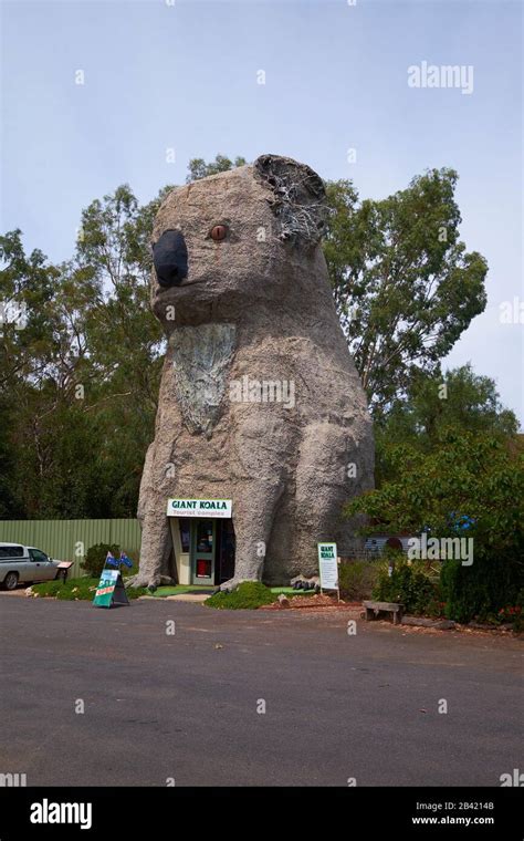 Koala sculpture hi-res stock photography and images - Alamy