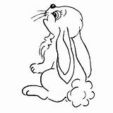 Personal Impressions Cute Bunny Rubber Stamp  Coloring Nation sketch template