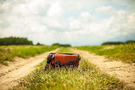 Royalty-Free photo: Four assorted-color leather handbags | PickPik