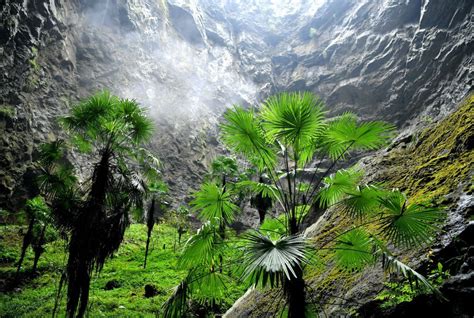 Chinese giant sinkhole shows vast ancient forest - Mar Daily