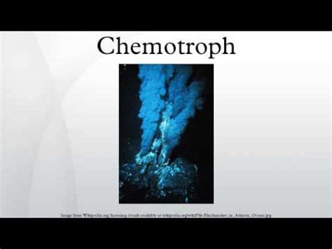 Chemotroph - YouTube