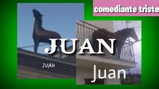 Horse Named Juan Meme - Captions Beautiful