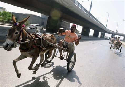 Donkey Cart Racing Karachi 2010 - Get Togethers / Motor Shows / Motor Sports - PakWheels Forums