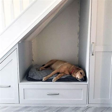 37 Superb Ideas For Dog Bed Under Stairs - WowPooch