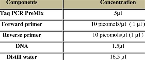 11. The original PCR reagents and final concentrations of the protocol. | Download Scientific ...