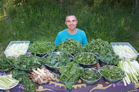 Simple Rules For Foraging Wild Edibles - Sergei Boutenko