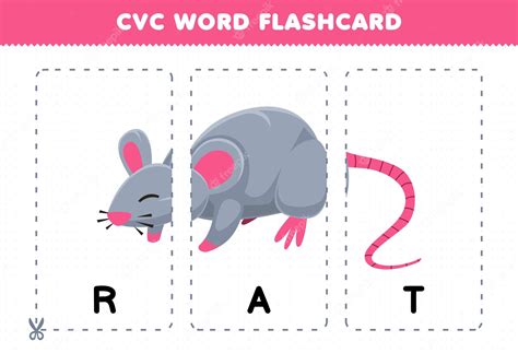 Premium Vector | Education game for children learning consonant vowel ...