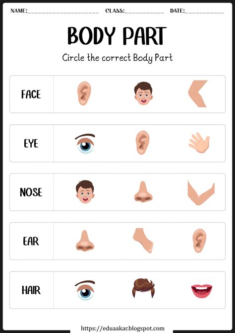 My Body Parts worksheet Preschool Art Activities, Preschool Learning Activities, Kindergarten ...