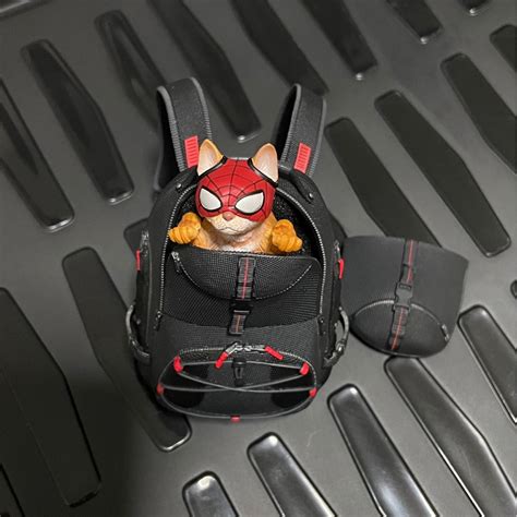 Hot Toys - Spider Man Miles Morales Backpack and Spider Cat, Hobbies & Toys, Toys & Games on ...