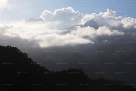 French Polynesia: Environment, biodiversity, innovation, ecology ...