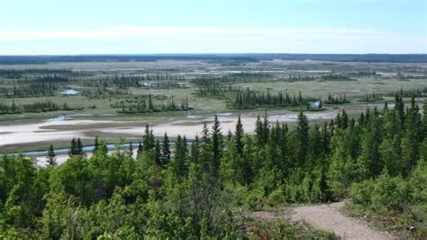 UNESCO gives Canada new deadline to preserve Wood Buffalo National Park ...