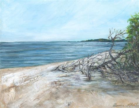 Impressionist Acrylic Paintings: Driftwood Beach by Susan Abell Art