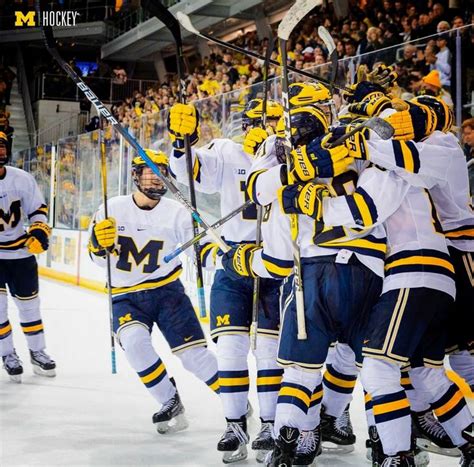 Pin by R S on Michigan Wolverines Hockey | Michigan wolverines hockey ...