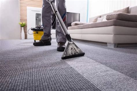 14 Best SF Carpet & Rug Cleaners to Sanitize Floors in 2021