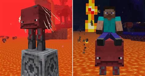 Top 5 Easiest Nether Mobs To Kill In Minecraft | Minecraft Guide