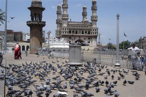 Hyderabad Merger Day celebrated with unfurling national flag - Telugu360