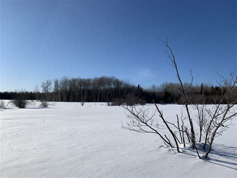 Amount of snowfall in Thunder Bay - Climate Change Thunder Bay Connection